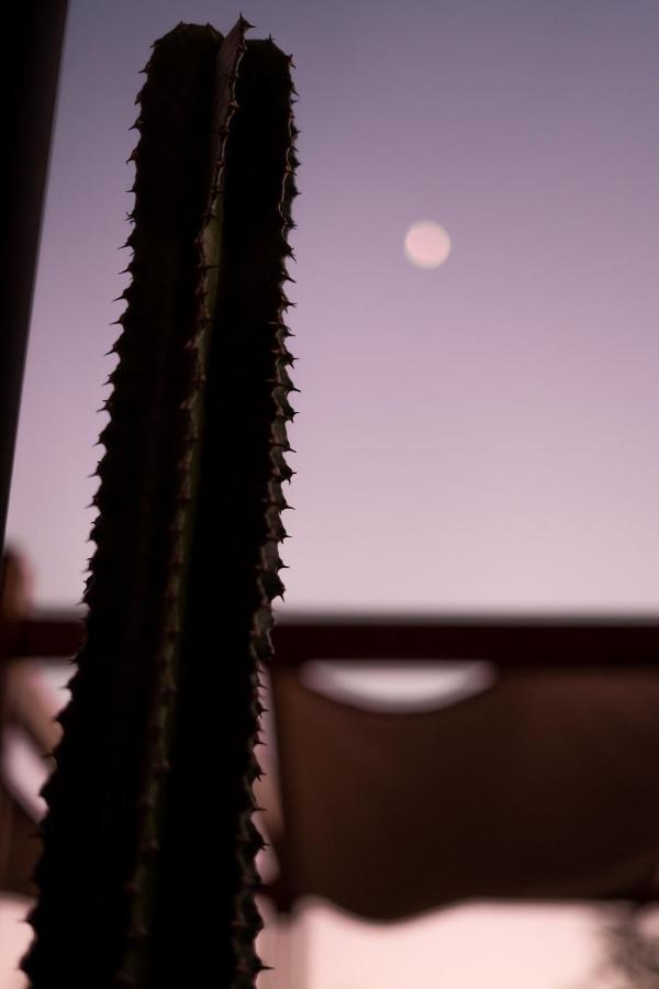 Encuentro Guadalupe Hotel ภายนอก รูปภาพ